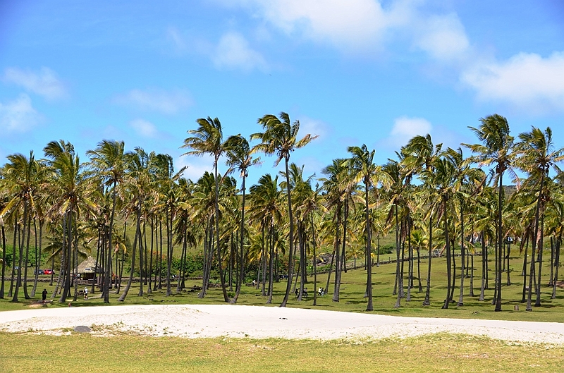 032_Chile_Easter_Island_Anakena.JPG