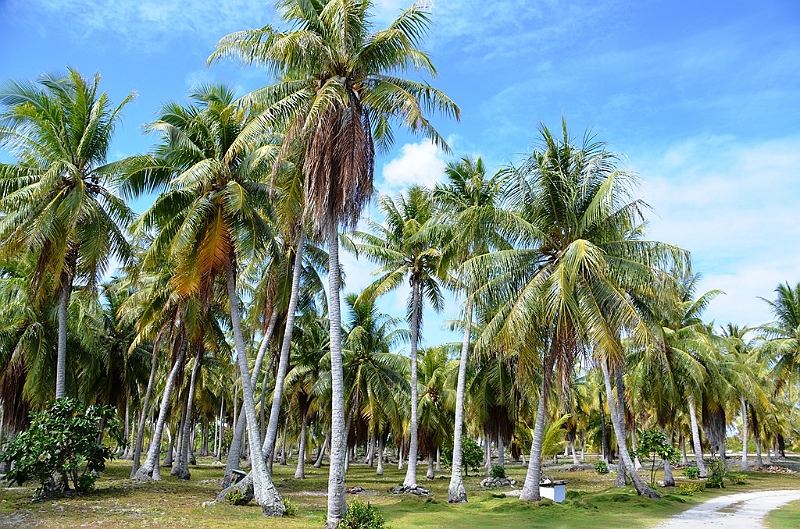 028_French_Polynesia_Fakarava.JPG