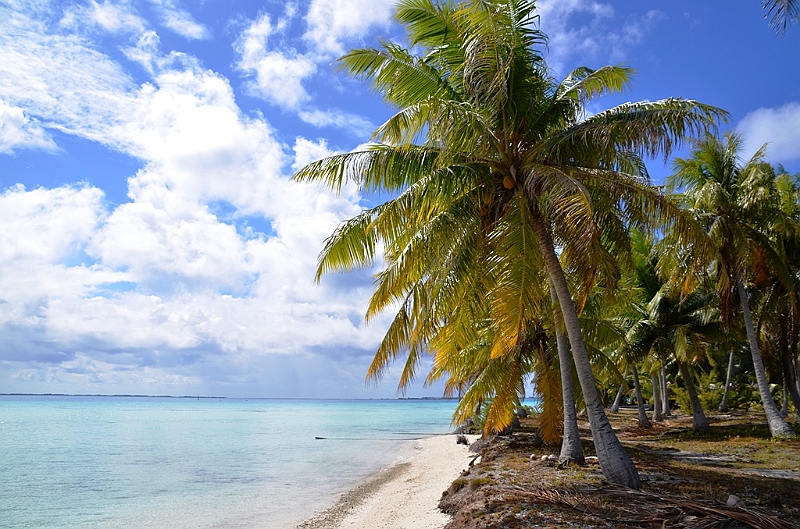 034_French_Polynesia_Fakarava.JPG