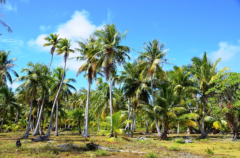 035_French_Polynesia_Fakarava.JPG