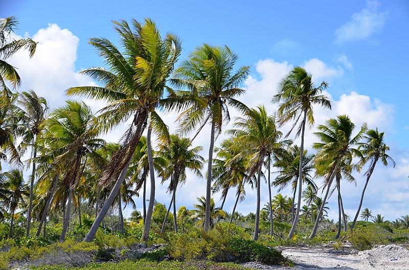 047_French_Polynesia_Fakarava.JPG