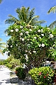 060_French_Polynesia_Fakarava