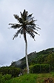 085_French_Polynesia_Gambier_Islands_Rikitea