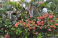 093_French_Polynesia_Gambier_Islands_Rikitea