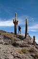 433_Bolivien_Salar_de_Uyuni_Isla_del_Pescado_Privat