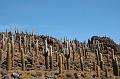 434_Bolivien_Salar_de_Uyuni_Isla_del_Pescado