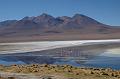 463_Bolivien_Altiplano_Landscap