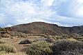 067_Kanaren_Teneriffa_El_Teide_Nationalpark 