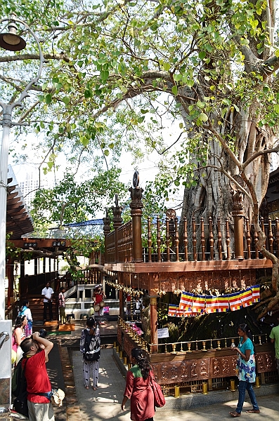 025_Sri_Lanka_Colombo_Gangaramaya_Temple.JPG