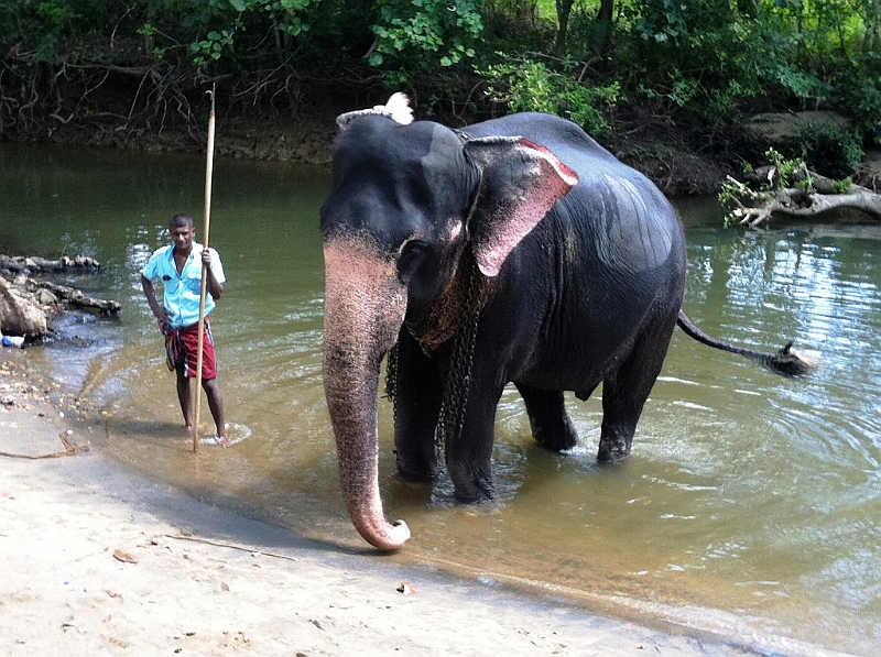 131_Sri_Lanka_Giritale.JPG