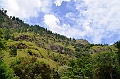 441_Sri_Lanka
