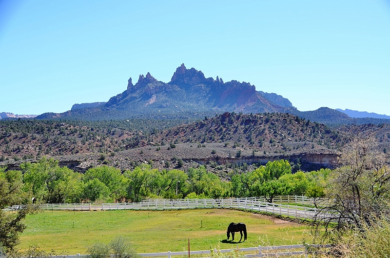 053_USA_Zion_National_Park.JPG