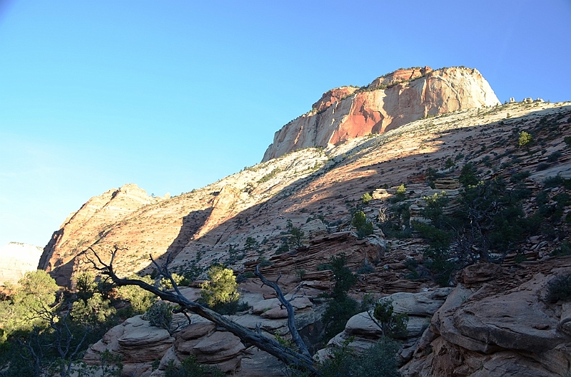 060_USA_Zion_National_Park.JPG