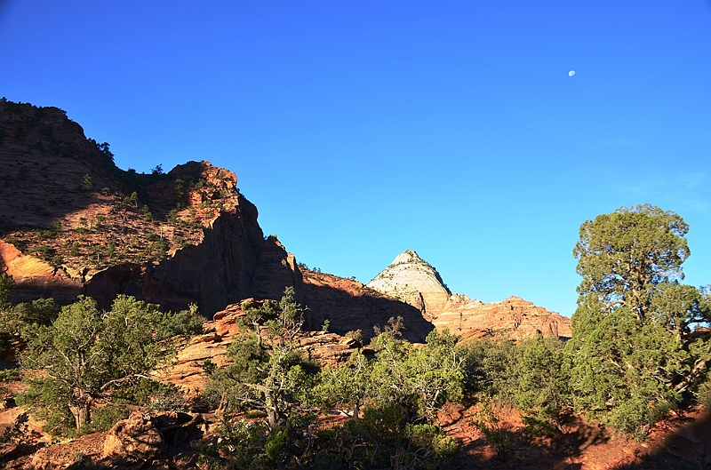 061_USA_Zion_National_Park.JPG