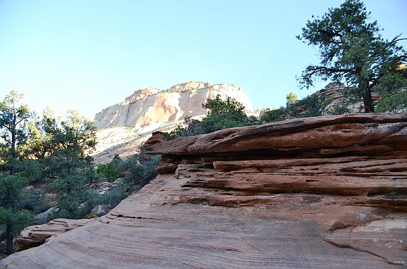 062_USA_Zion_National_Park.JPG