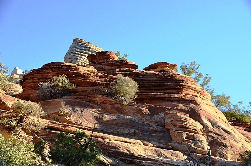 067_USA_Zion_National_Park.JPG