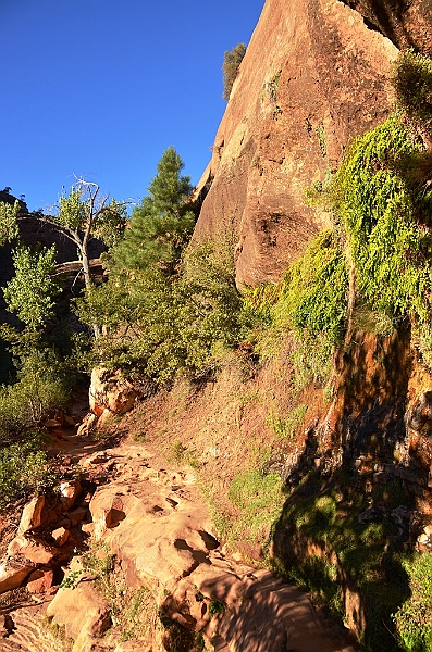 069_USA_Zion_National_Park.JPG