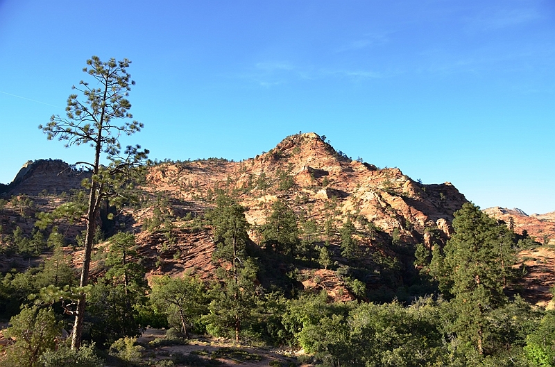 074_USA_Zion_National_Park.JPG