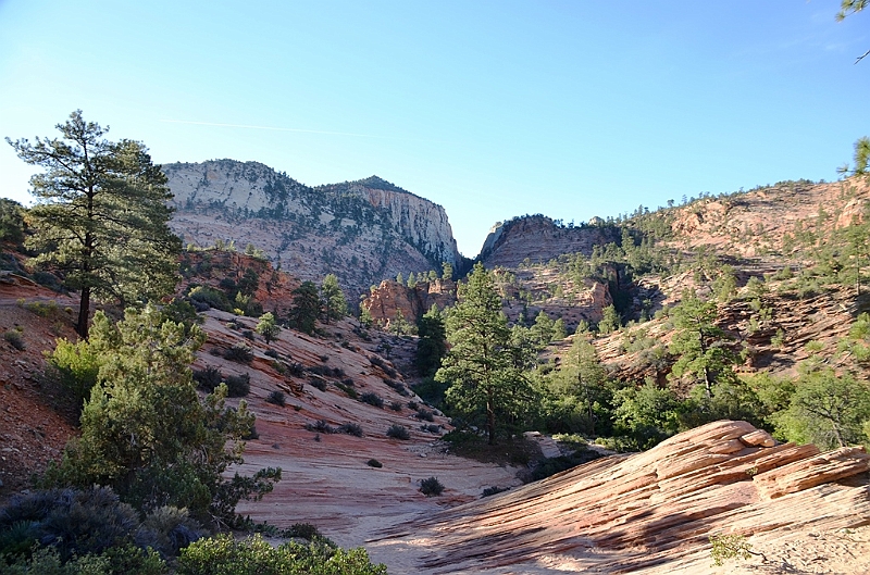 076_USA_Zion_National_Park.JPG