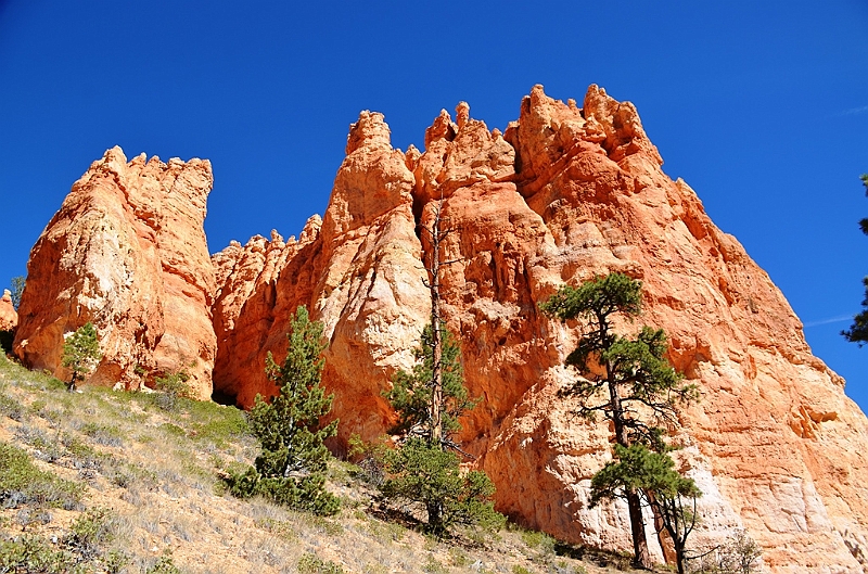 097_USA_Bryce_Canyon_National_Park.JPG