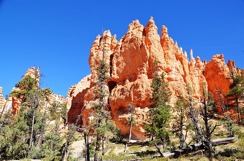 099_USA_Bryce_Canyon_National_Park.JPG