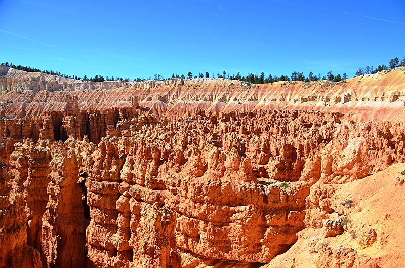 105_USA_Bryce_Canyon_National_Park.JPG