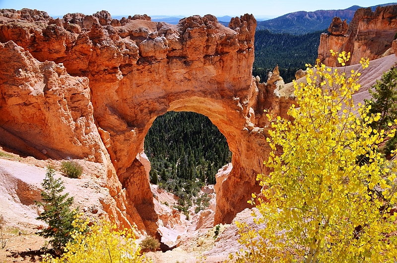 117_USA_Bryce_Canyon_National_Park.JPG