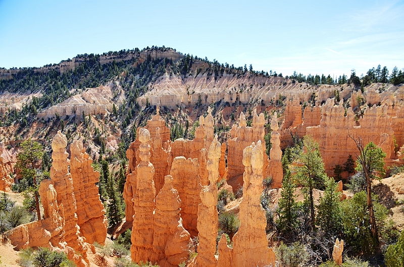 131_USA_Bryce_Canyon_National_Park.JPG