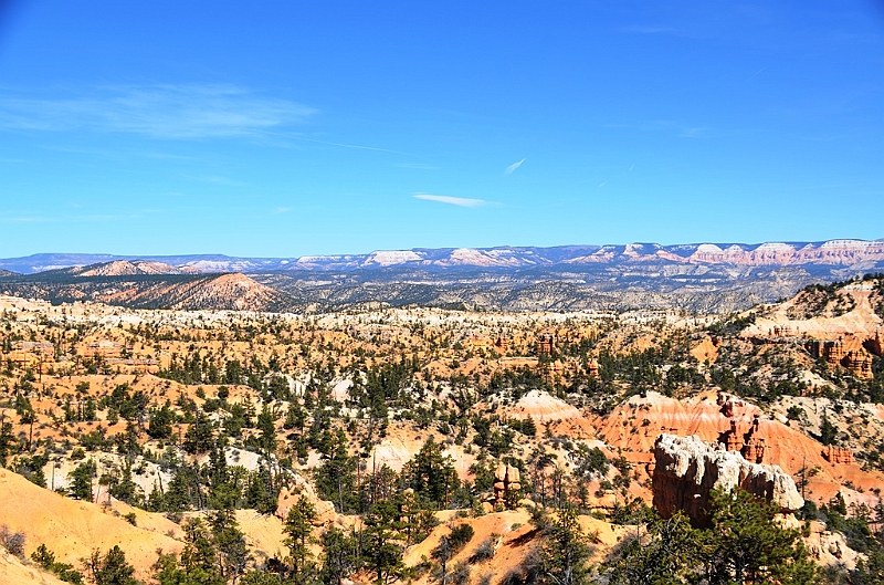 132_USA_Bryce_Canyon_National_Park.JPG