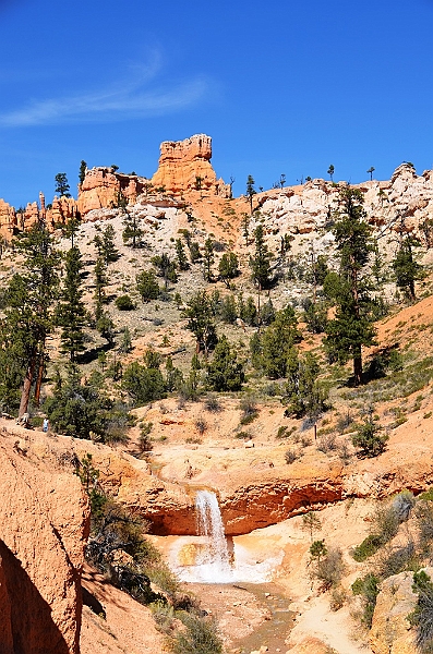 137_USA_Bryce_Canyon_National_Park.JPG