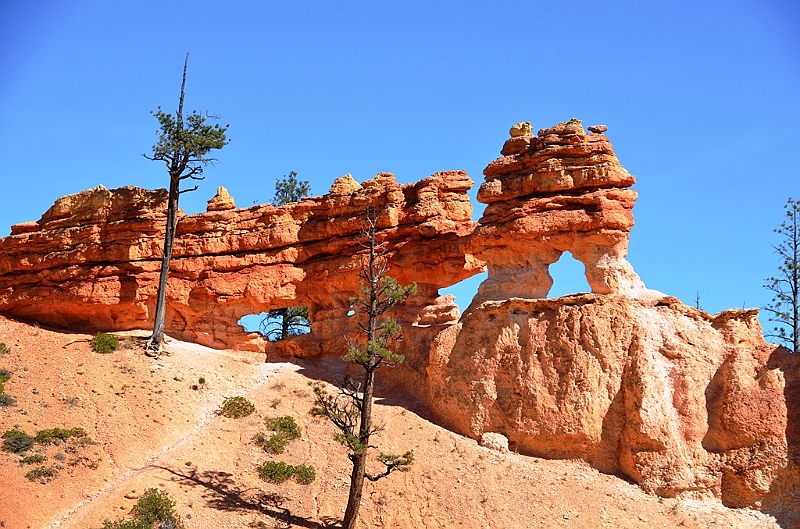 138_USA_Bryce_Canyon_National_Park.JPG