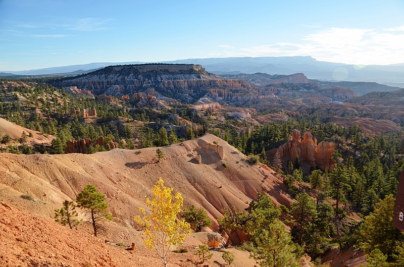 154_USA_Bryce_Canyon_National_Park.JPG