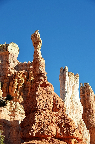 167_USA_Bryce_Canyon_National_Park.JPG