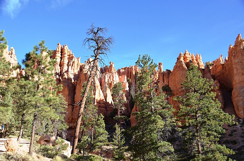 169_USA_Bryce_Canyon_National_Park.JPG