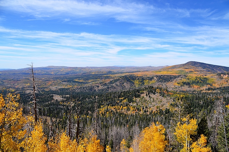 195_USA_Utah_Cedar_Breaks_National_Monument.JPG