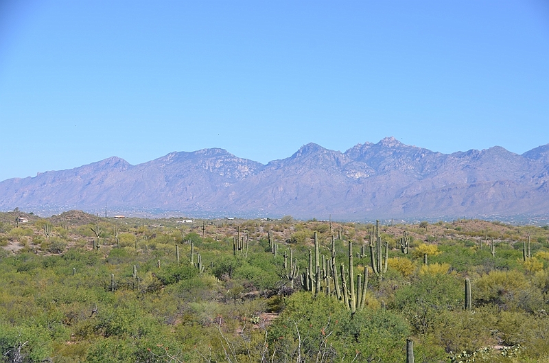 066_USA_Saguaro_National_Park.JPG