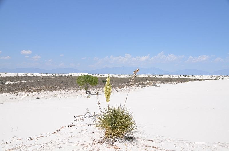 099_USA_White_Sands_National_Monument.JPG