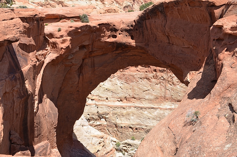 298_USA_Capital_Reef_National_Park.JPG