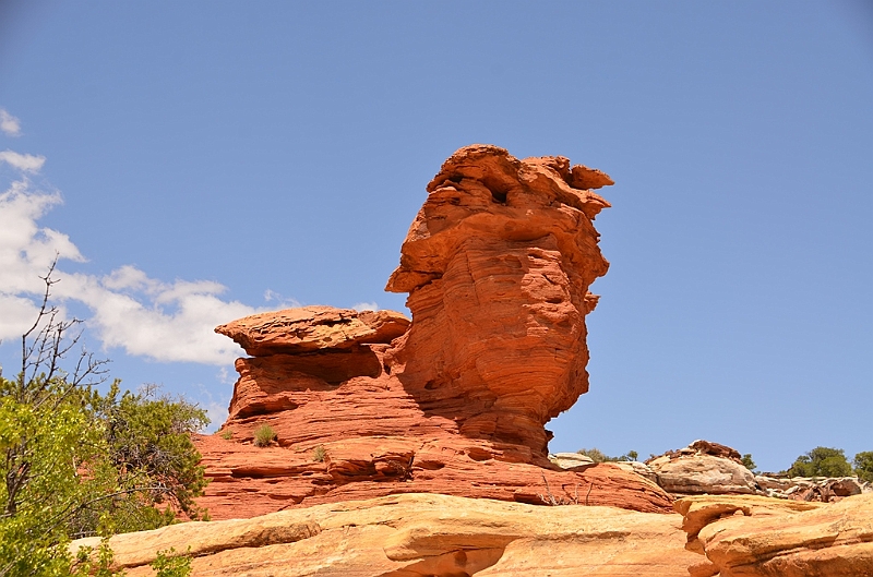 302_USA_Capital_Reef_National_Park.JPG