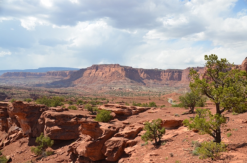 314_USA_Capital_Reef_National_Park.JPG