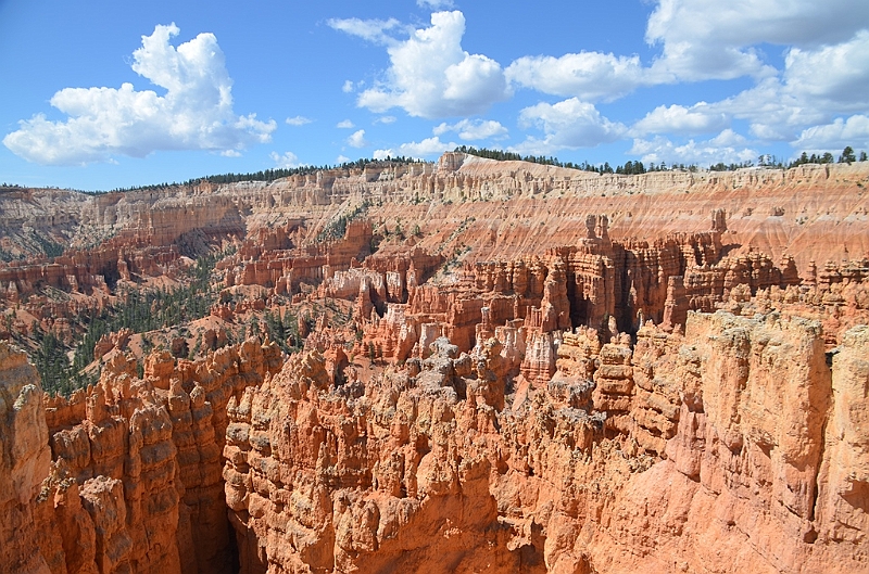 334_USA_Bryce_Canyon_National_Park.JPG