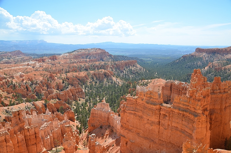 336_USA_Bryce_Canyon_National_Park.JPG