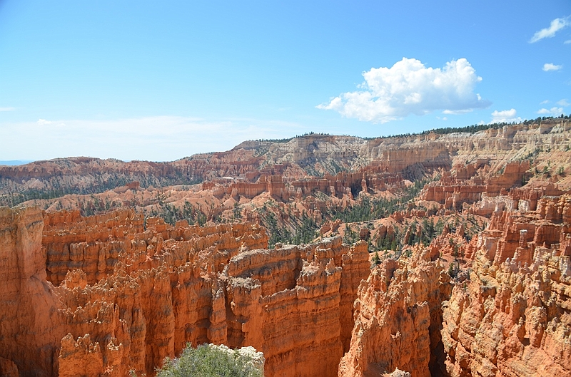 338_USA_Bryce_Canyon_National_Park.JPG