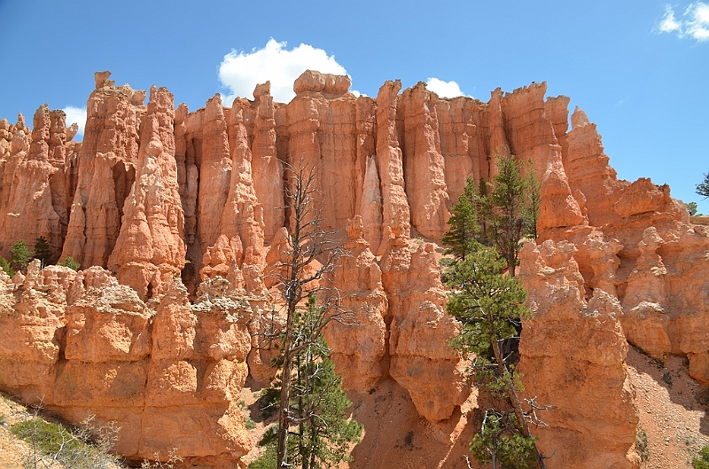 348_USA_Bryce_Canyon_National_Park.JPG