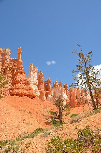 351_USA_Bryce_Canyon_National_Park.JPG