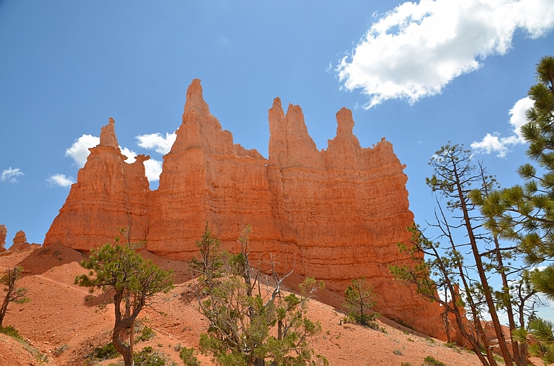 352_USA_Bryce_Canyon_National_Park.JPG