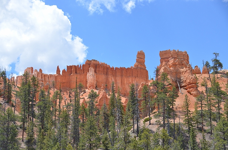 359_USA_Bryce_Canyon_National_Park.JPG