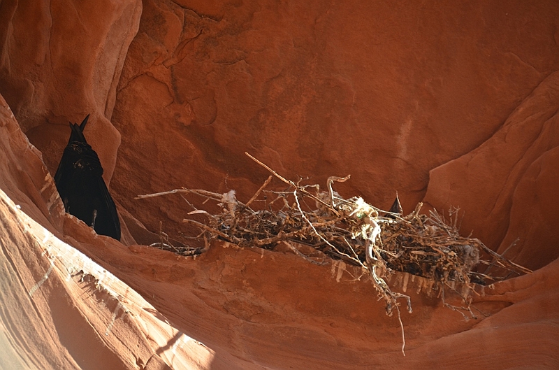 488_USA_Page_Antelope_Canyon.JPG