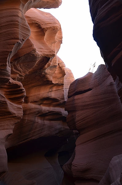 499_USA_Page_Antelope_Canyon.JPG