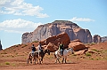 204_USA_Monument_Valley